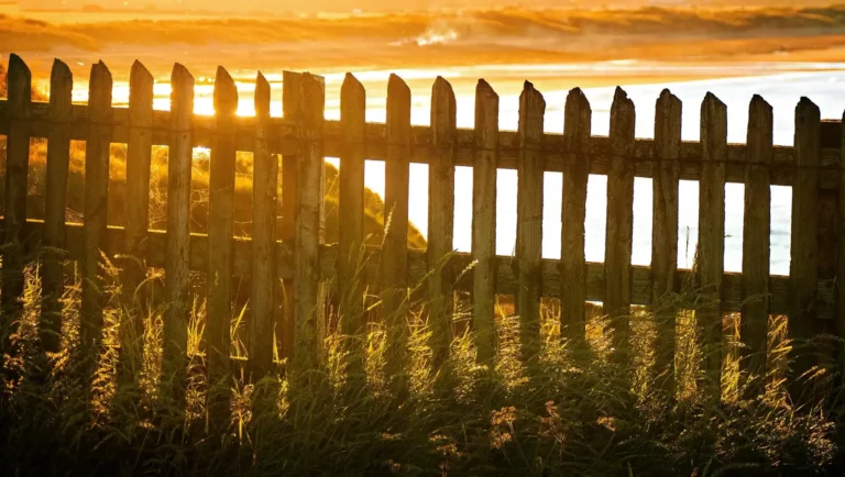 fence decorations