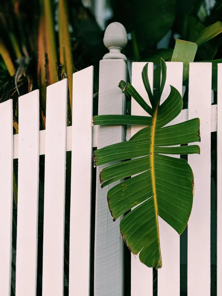 fence gates